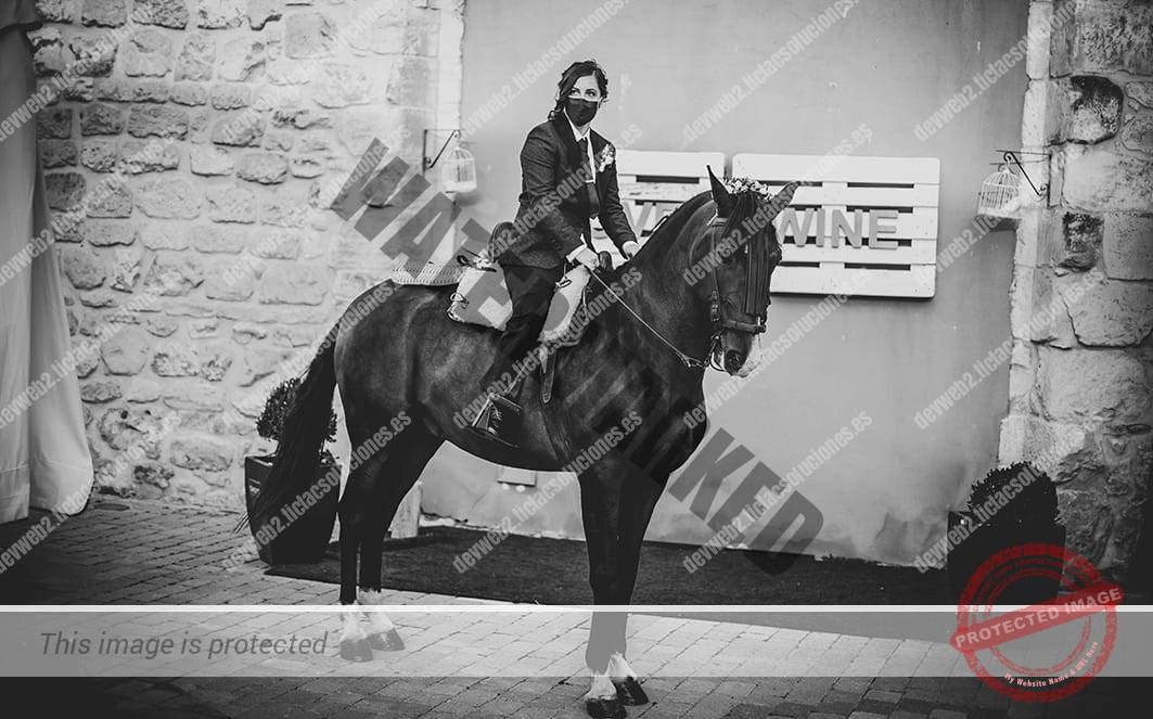 Retrato. Novia a caballo. Profesional de la fotografía. En blanco y negro