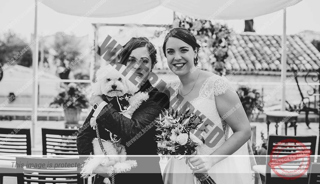 Fotografía en Blanco y negro. Novias. Perrito. Ramo de Flores. Álbum de Fotos